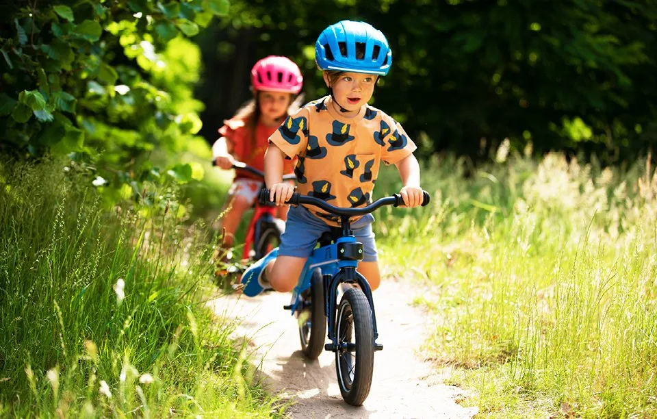 Ik kwam, ik zag, ik overwon